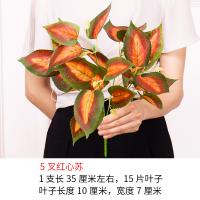 XU0611851